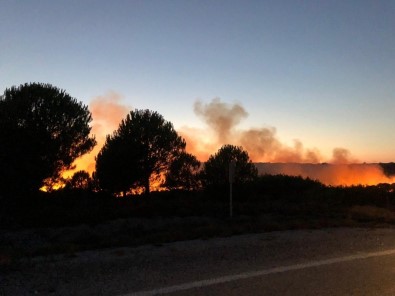 Bozcaada'da Korkutan Yangın