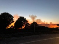 Bozcaada'da Korkutan Yangın Haberi
