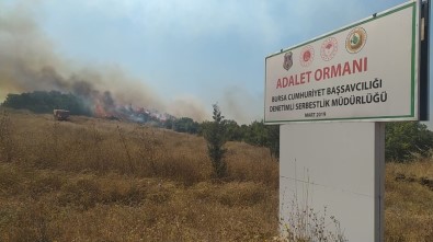 Bursa'da Çiftlikten Ormana Sıçrayan Yangın Kontrol Altına Alındı