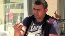 'Hattuşalı' Mustafa Atila, Hitit Figürleriyle Taşlara Hayat Veriyor Haberi