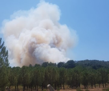 İzmir'de Bir Orman Yangını Daha Çıktı