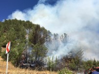 Kahramanmaraş'ta 10 Hektarlık Ormanlık Alan Yandı