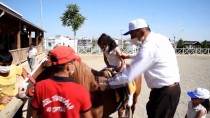 Kahramanmaraş'ta Şehit Ve Gazi Çocukları At Bindi, Ok Attı Haberi