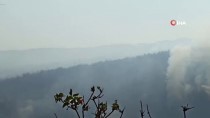 Manisa'daki Orman Yangını Kısmen Kontrol Altına Alındı Haberi