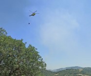 Manisa'daki Orman Yangını Kısmen Kontrol Altında Haberi