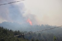 Menderes'teki Yangını Söndürme Çalışmaları Sürüyor Haberi