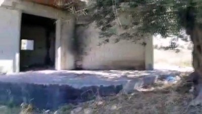 Aydın'da Anıt Ağaç Tescil Başvurusu Bulunan Ağacın Yanına Yapılan Villaya Tepki