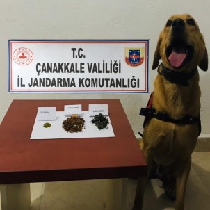 Biga'da Uyuşturucu Operasyonu