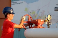 Bursagaz, Boyalıca'yı Doğalgaz İle Buluşturdu