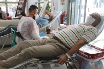 Denizli'nin Kan Stokları Yüzde 50'Nin Altına Düştü