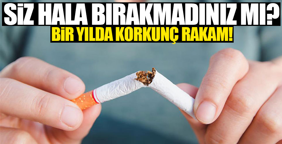 İşte yılda sigara kaynaklı ölüm sayısı!
