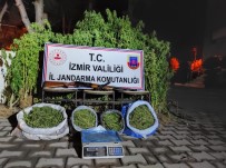 İzmir'de Jandarmadan Uyuşturucu Operasyonu Açıklaması 4 Gözaltı Haberi