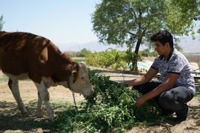 Okul Destek Projesiyle Tanıştı, LGS'den 464 Puan Alarak Fen Lisesine Yerleşti