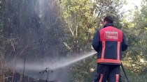 Sakarya'da Çıkan Orman Yangını Söndürüldü Haberi