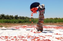 Sınırın Sıfır Noktasında İsot Hasadı