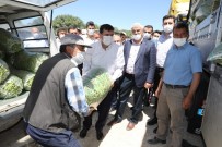 3 Bin 500 Kişinin Yevmiyeyle Çalıştığı Ovada Fasulye Hasadı Başladı