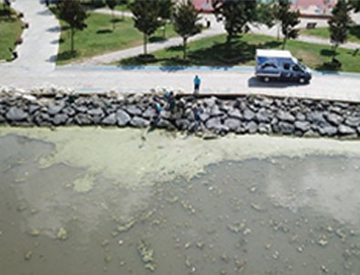 CHP'nin Haliç yalanı elinde patladı!