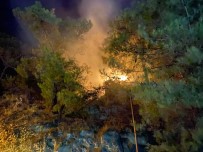 Fethiye'de Orman Yangını