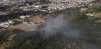 İzmir'de Fabrikada Çıkan Yangın Ormanlık Alana Sıçradı