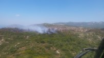 İzmir'de Korkutan Orman Yangını Haberi