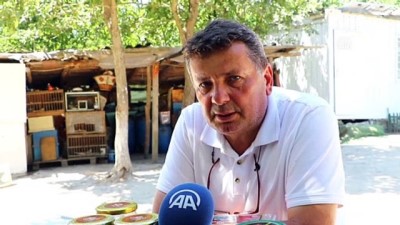 Babasından Öğrendiği Arıcılığı 40 Yıldır Sürdürüyor