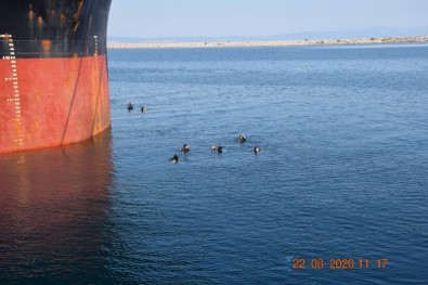 Çanakkale'de Dev Uyuşturucu Operasyonu