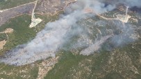 İzmir'de Makilik Alandaki Yangına Havadan Ve Karadan Müdahale Haberi