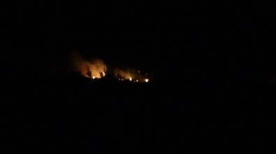 Kozan'da 3 Ayrı Noktada Orman Yangını