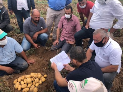 Nevşehir'de Patates Hasadı Başladı