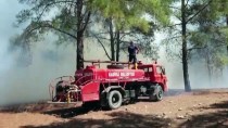 Osmaniye'de Çıkan Orman Yangınına Havadan Ve Karadan Müdahale Ediliyor