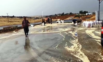 Şanlıurfa'da Yağmur Yağışı Fıstığa Zarar Verdi