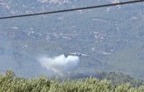Serik'teki Orman Yangını 4,5 Saat Sonra Kontrol Altına Alındı