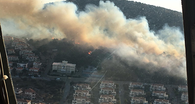 Ünlü tatil merkezi Çeşme'de yangın!