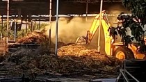 İzmir'de Çıkan Yangında 40 Ton Saman Yandı Haberi