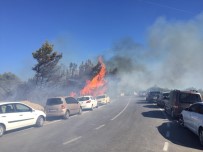 İzmir'de Yangın Dehşeti Açıklaması Otluk Alanda Çıkan Yangında Onlarca Araç Alev Alev Yandı Haberi