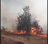 Malatya'da Örtü Yangını Haberi