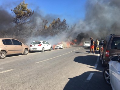 Seferihisar'daki Yangın Araçlara Sıçradı, Müdahale Sürüyor