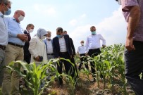 Tarım Ve Orman Bakanlığı Bitkisel Üretim Genel Müdürü Mehmet Hasdemir Açıklaması