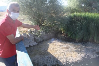 Konya'da Göle Dökülen Akarsuda Esrarengiz Balık Ölümleri Tedirgin Ediyor
