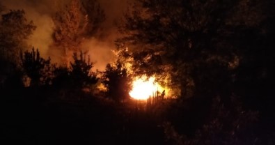 Kozan'da Yangına Müdahale Sürüyor