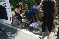 Lastiği Patlayan Fırın Aracı Zeytinliğe Uçtu Açıklaması 1 Yaralı