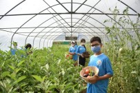 Tuzla'da İyilik Hasadı Başladı