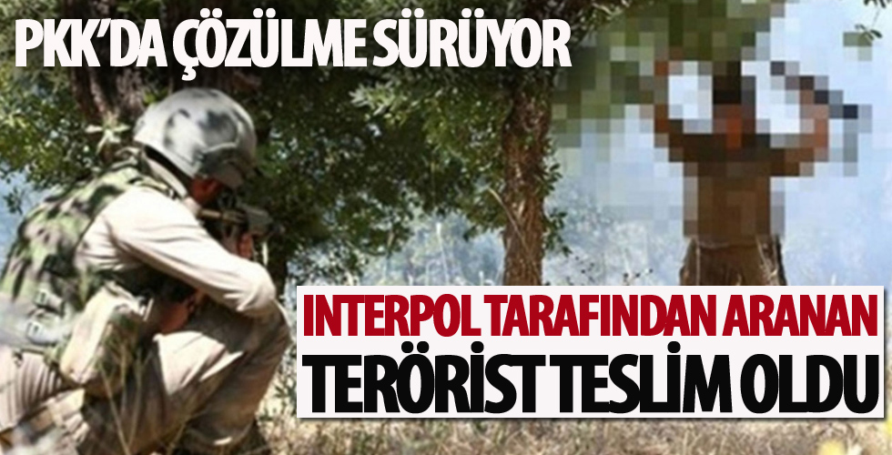 Biri İnterpol tarafından kırmızı bültenle aranan 2 terörist teslim oldu