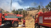 Konya'da Orman Yangını Haberi