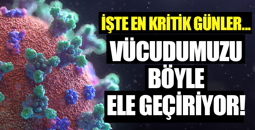 Koronavirüs vücudumuzu böyle ele geçiriyor! Bulaşmada en kritik günler...
