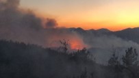 ORMAN BAKANI - Adana'nın Kozan ilçesindeki orman yangınıyla ilgili 3 kişi gözaltına alındı