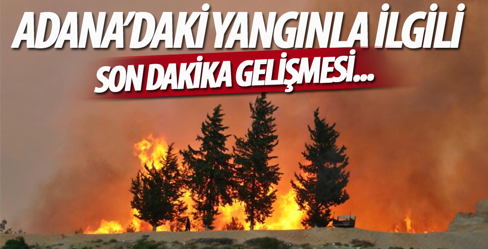 Adana'nın Kozan ilçesindeki orman yangınıyla ilgili 3 kişi gözaltına alındı