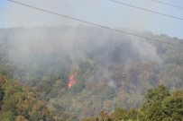 Sakarya'da Ormanlık Alanda Yangın