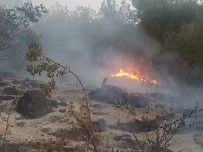 Söke'de Yine Yangın; 5 Dönüm Arazi Kül Oldu