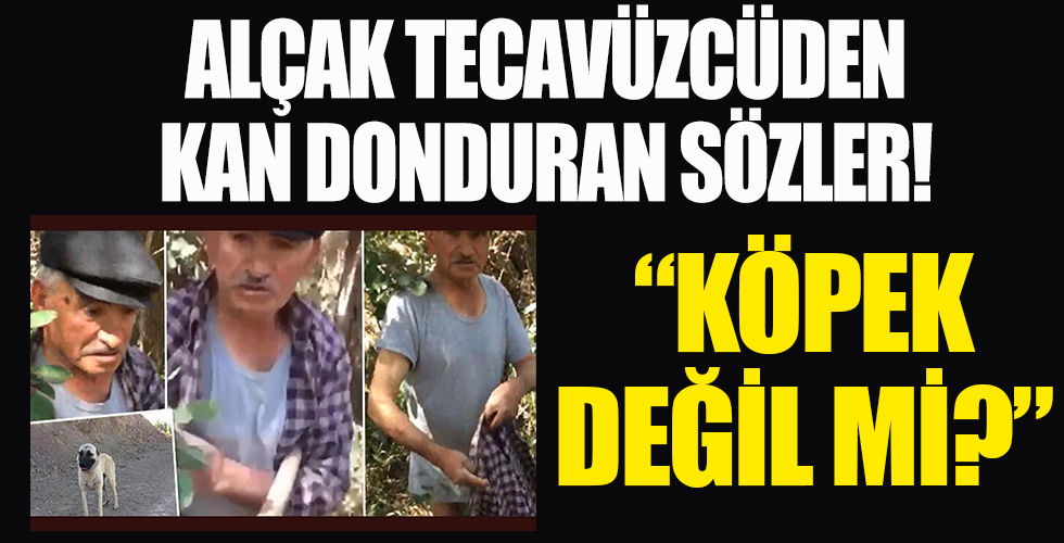 Tecavüzcü alçaktan kan donduran sözler: Köpek değil mi?